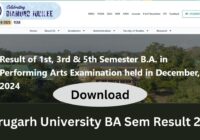 Dibrugarh University BA 1st 2nd 3rd Sem Result 2025